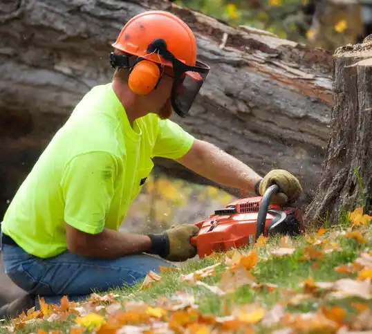 tree services Tarboro